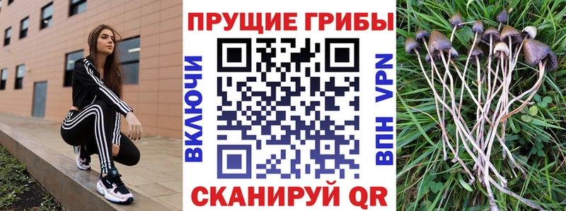 Галлюциногенные грибы прущие грибы что такое наркотик Кашин