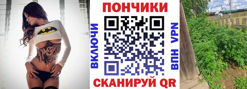 Бошки Шишки MAZAR Кашин